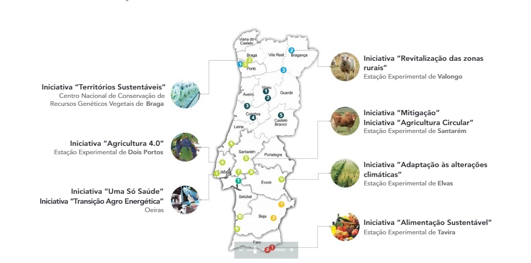 Rede de Inovação Terra Futura 2030