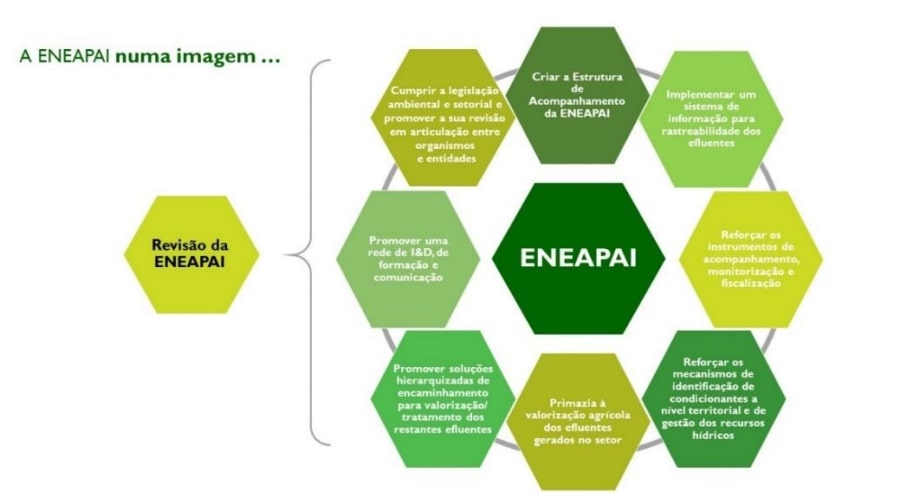 ENEAPAI 2030