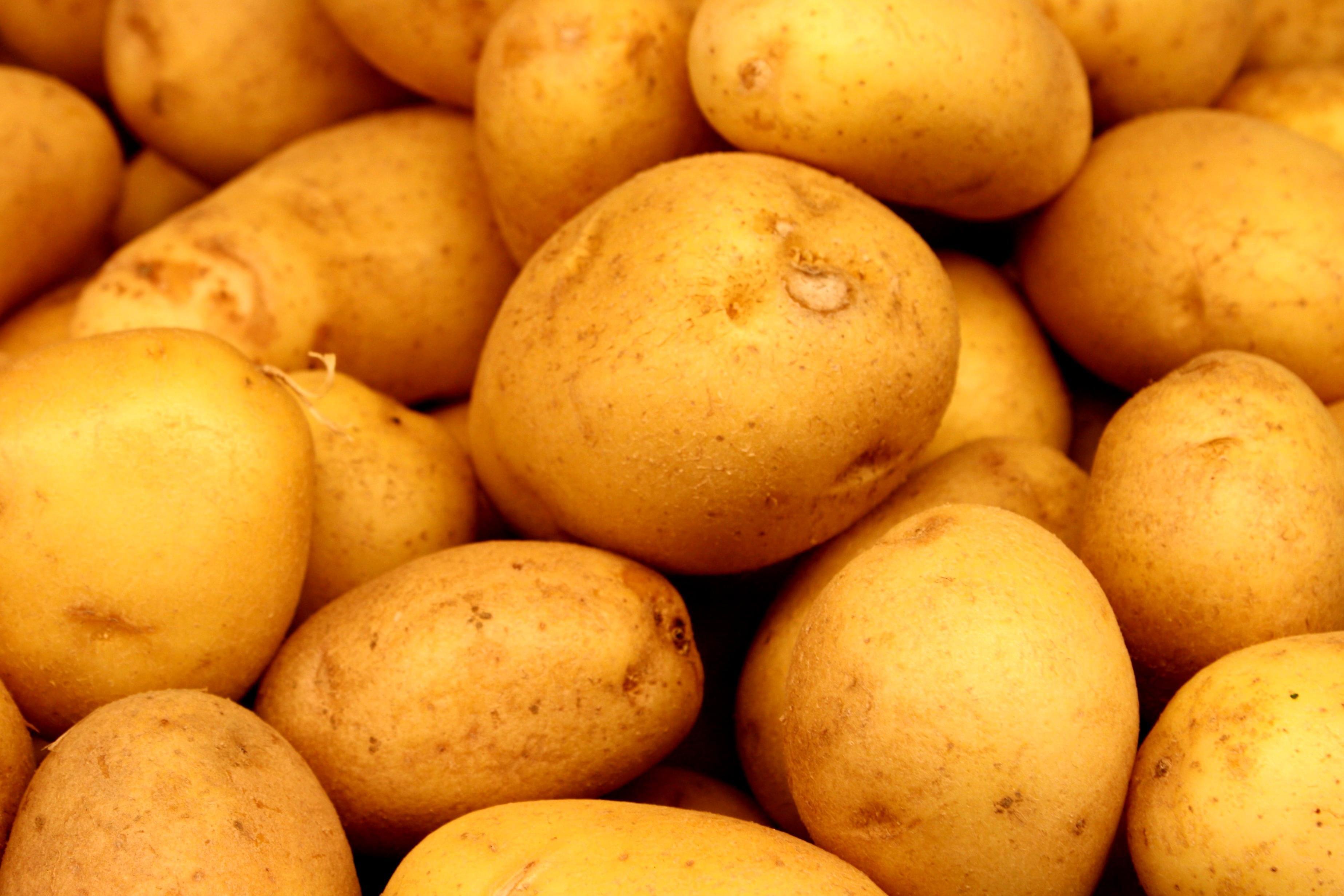 Batata