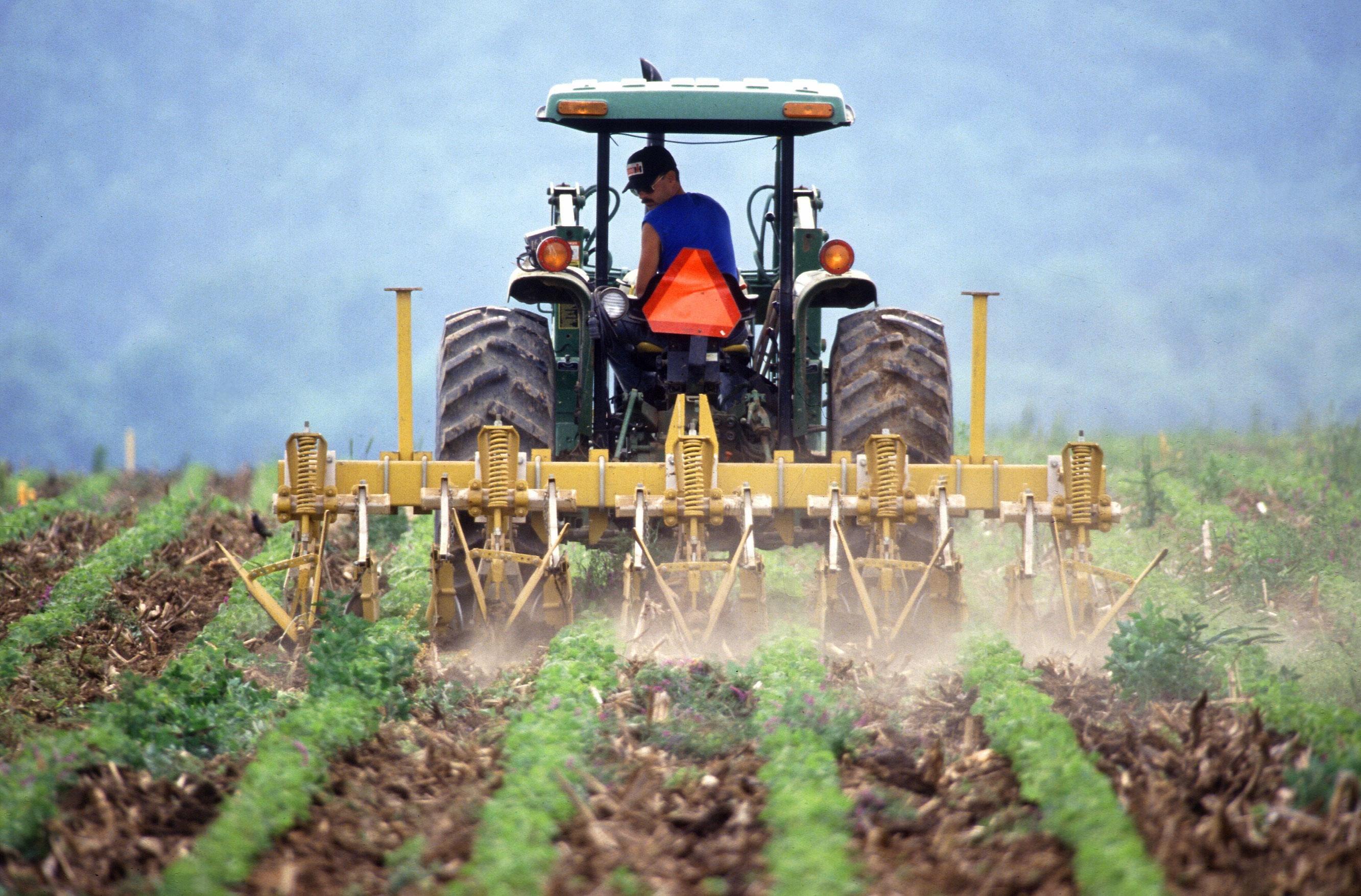 Agricultura