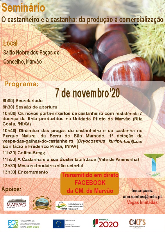 Castanheiro