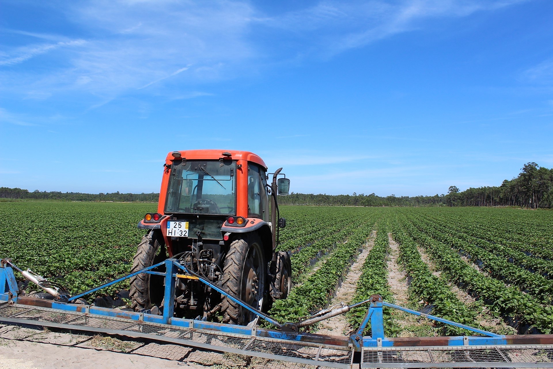 Agricultura