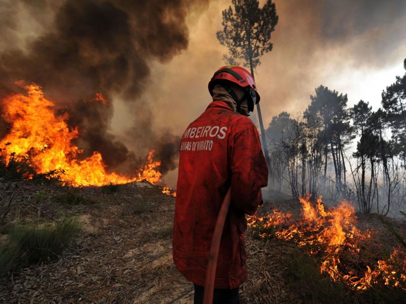 Incêndios agroflorestal