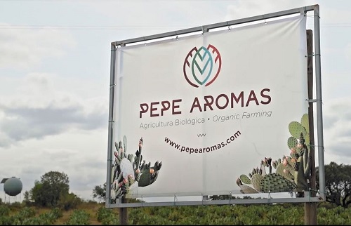 Pepe Aromas