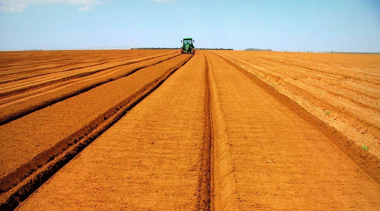 Agricultura