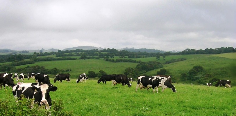 Agricultura Açores