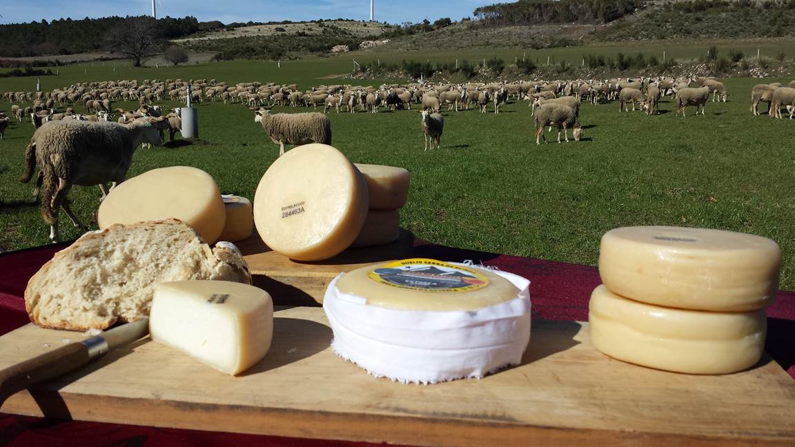 Queijo Serra da Estrela DOP