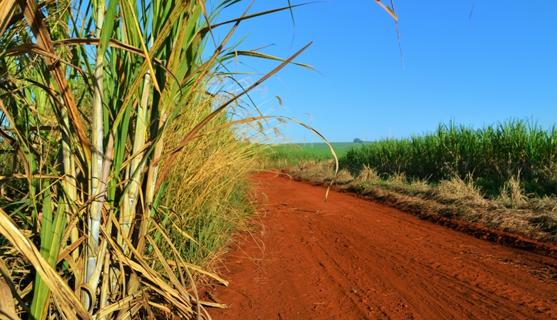 Agricultura