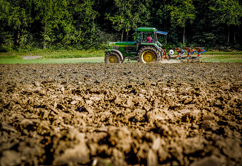 Agricultura