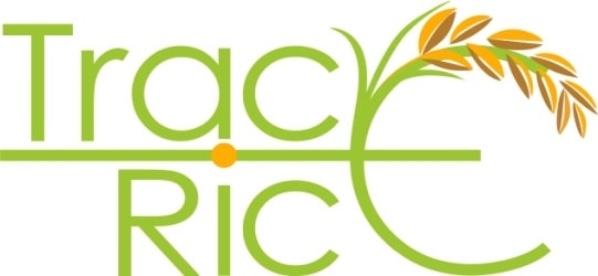 TRACE-RICE