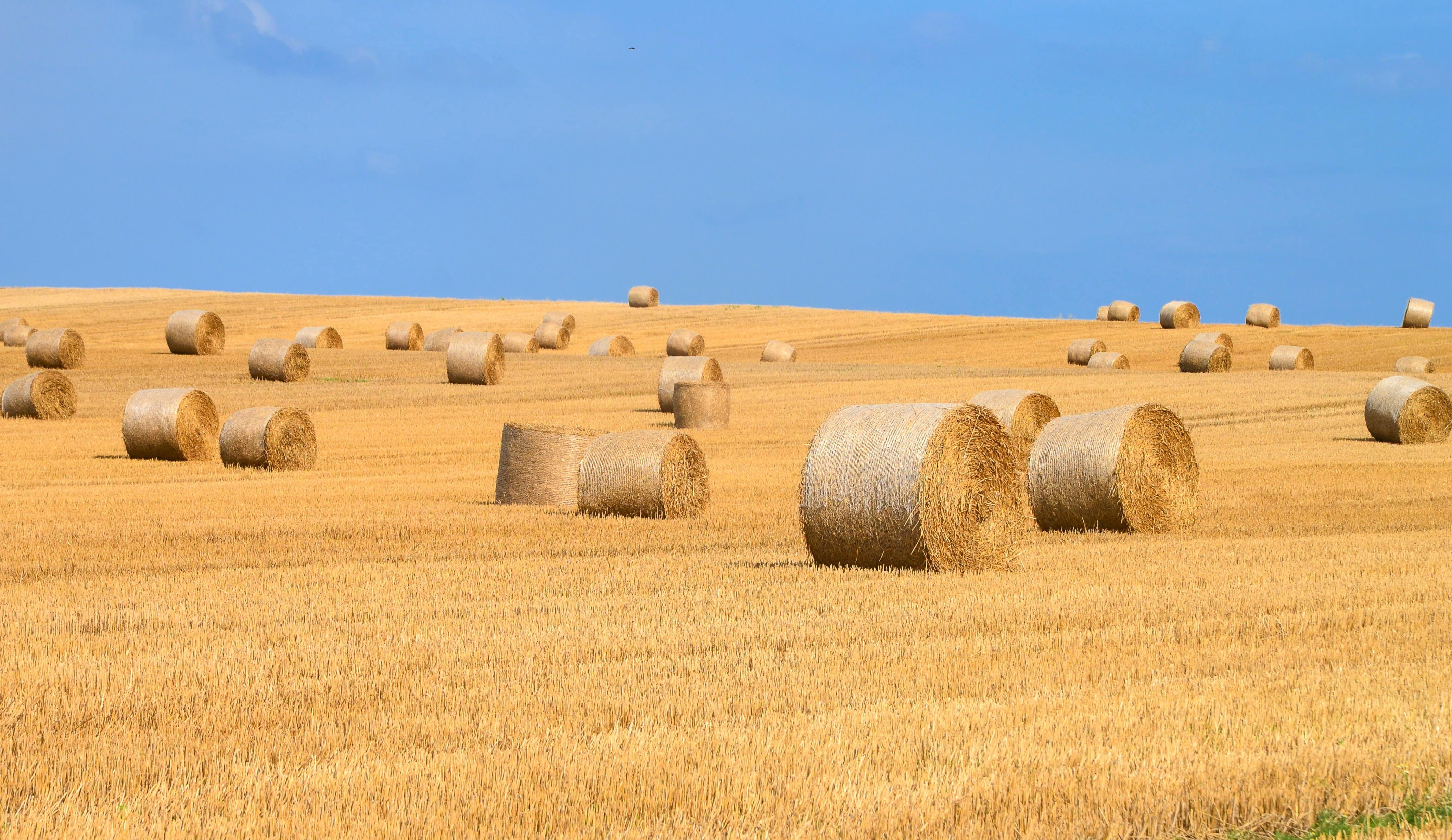 Agricultura