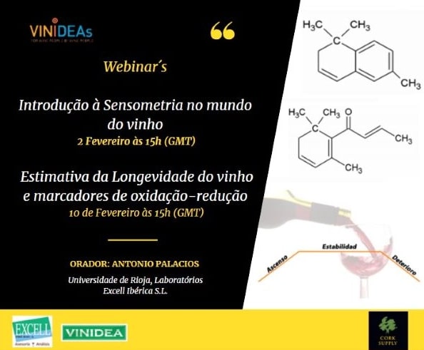 Webinars Vinideas