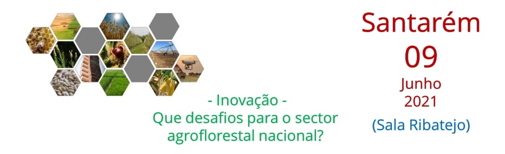 agroflorestal