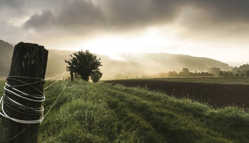 agricultura