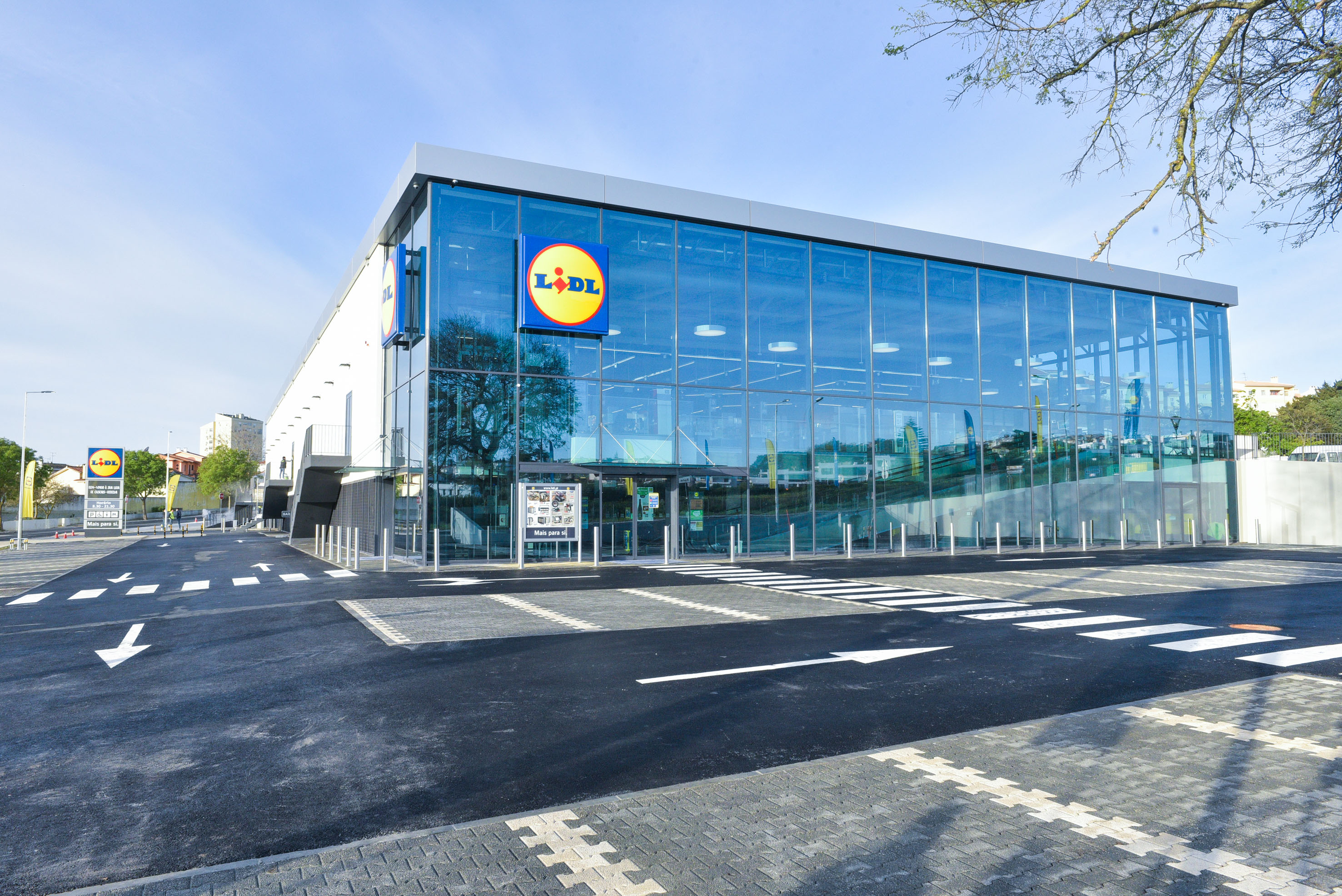 Lidl gera mais de 7 mil milhões de euros para Portugal, nos últimos 3