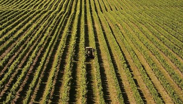 A compatibilidade da reforma da PAC com a ambição do Pacto Ecológico Europeu