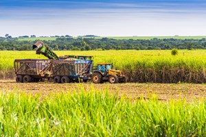 Governo alarga prazo para concluir serviços de aconselhamento agrícola