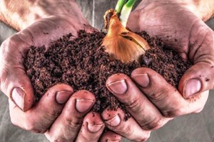 Estatuto do Jovem Empresário Rural já conta com 351 títulos atribuídos até maio