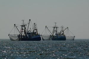 DGRM operacionaliza apoio financeiro do Governo para as pescas