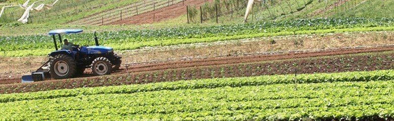 Uma nova forma de trabalhar para o futuro da agricultura - A nova PAC