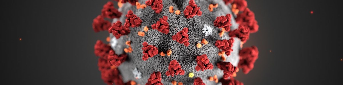 Especial Coronavírus - Saiba todas as novidades no âmbito do setor agroalimentar