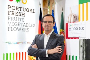 Gonçalo Santos Andrade reeleito presidente da Portugal Fresh