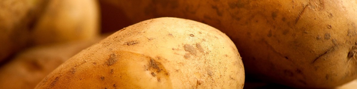 O potencial do setor nacional da batata