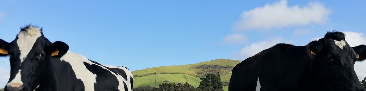 O impacto da Covid-19 na produção nacional