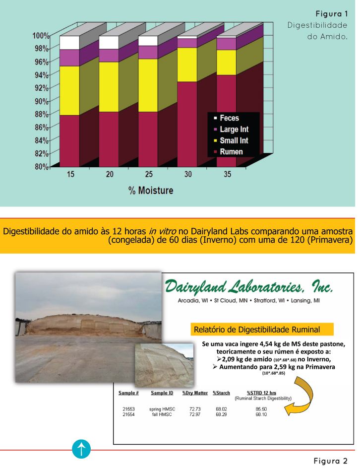 p20 fig1 2