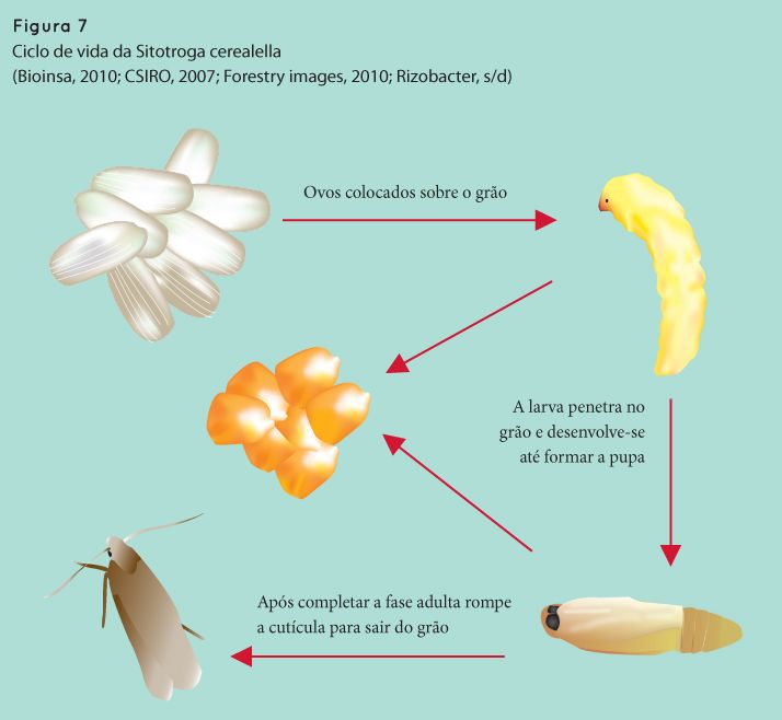 p72 fig7
