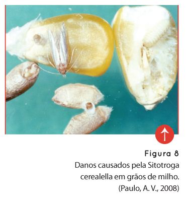 p72 fig8