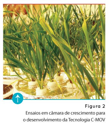 p82 fig2