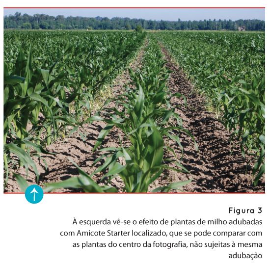 p82 fig3