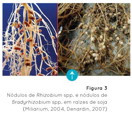 p34 fig3