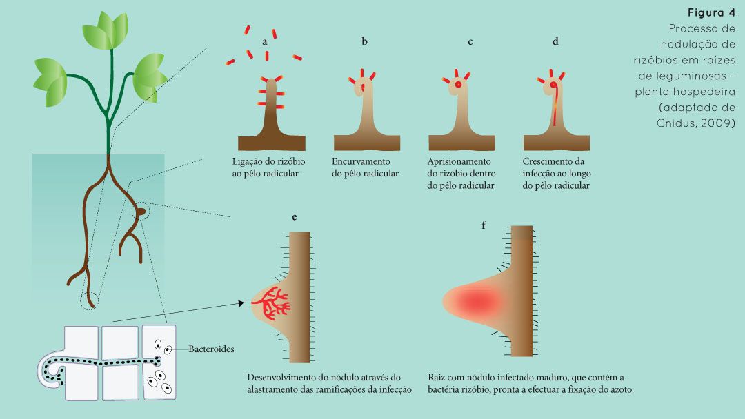 p34 fig4