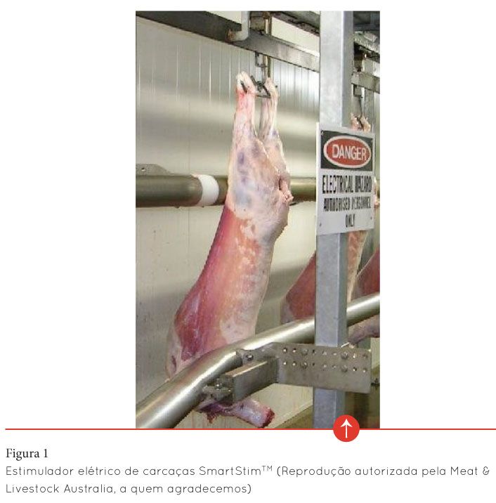 p20 fig1