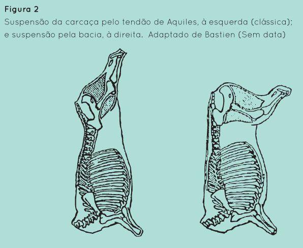 p20 fig2