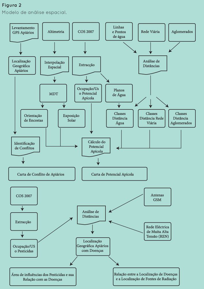 p27 fig2