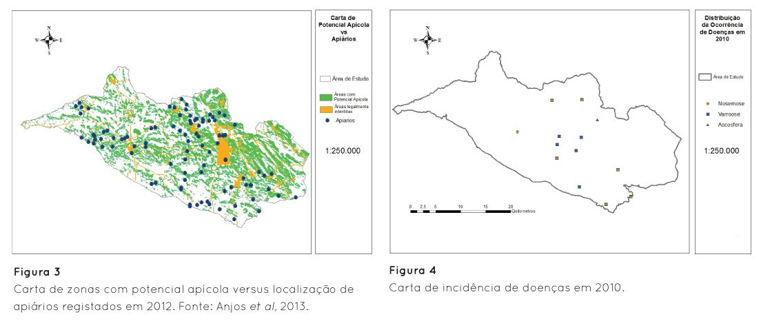 p27 fig3 4