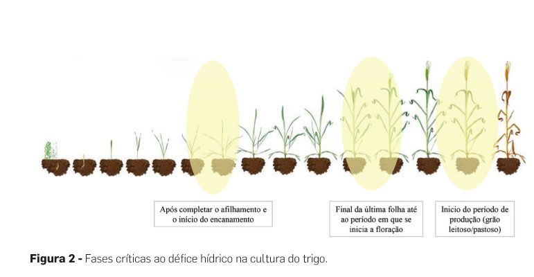 p18 fig2
