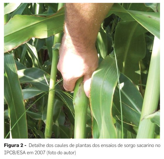 p14 fig2
