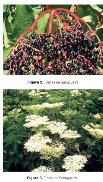 p12 fig2 3
