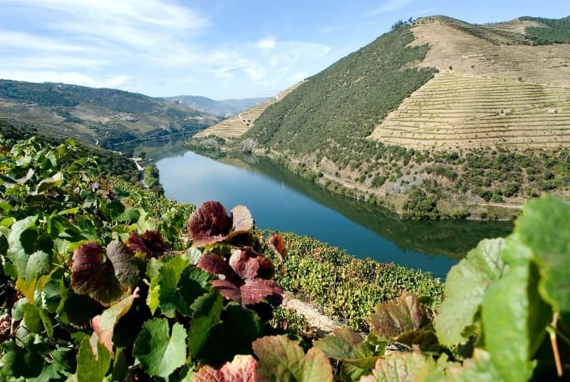 douro