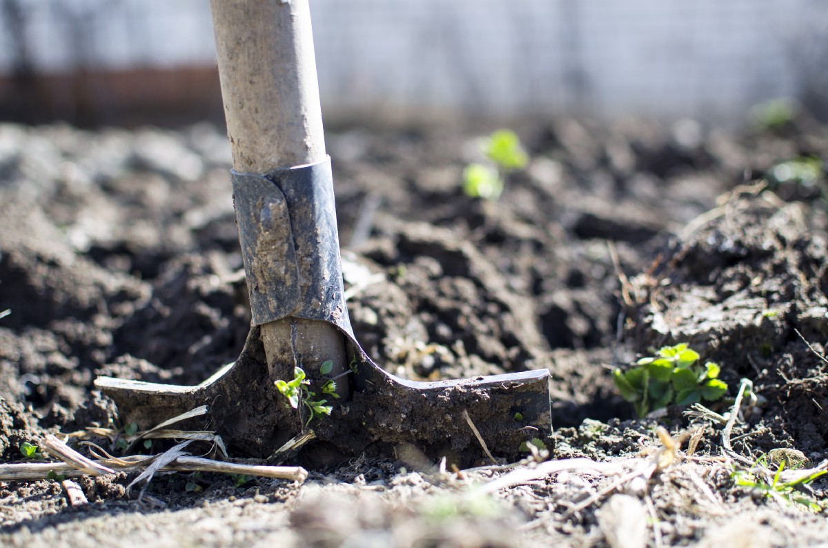 Agricultura