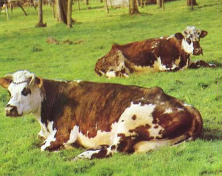 Pol&iacute;tica Agr&iacute;cola, Regional e de Coes&atilde;o  (Parte I / II)