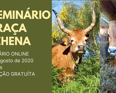 1º Seminário online da raça Cachena acontece em agosto
