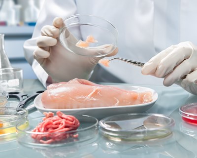 1º simpósio do INIAV sobre segurança alimentar traz perspetivas mundiais