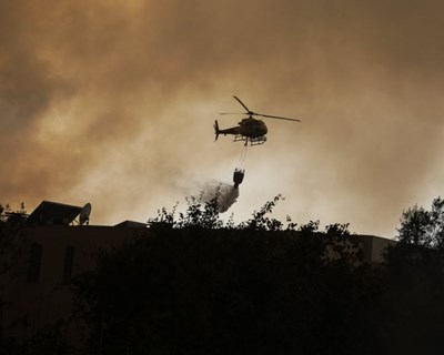 2017: ano de catástrofe nas florestas em Portugal