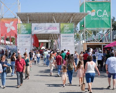 40 edição da Ovibeja vai realizar-se de 30 de abril a 5 de maio de 2024