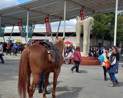 42ª edição da Ovibeja já tem data marcada para a semana de 29 de abril a 3 de maio de 2026